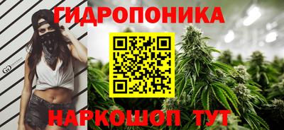 мяу мяу мука Бузулук