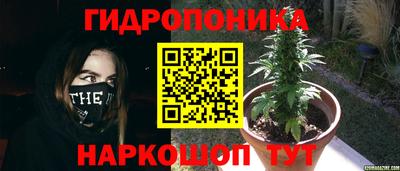 стафф Бугуруслан