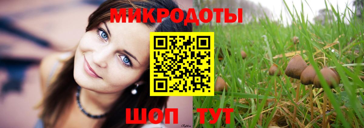 Новый Уренгой  Псилоцибиновые грибы Cubensis  Вход с VPN 